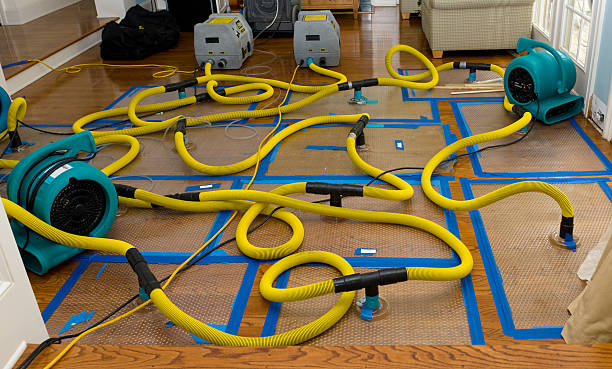 Professional Structural Drying And Dehumidification technician working in Tuckahoe, NY